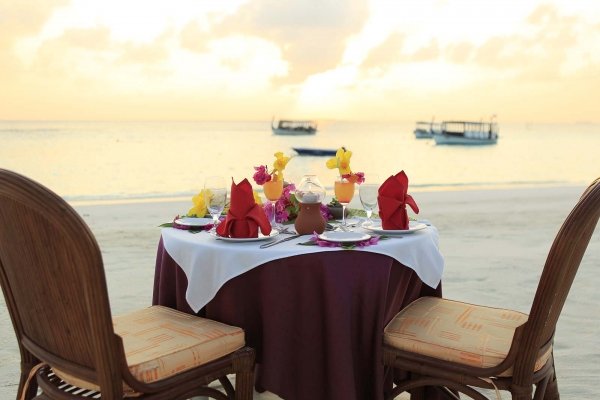 Beach Bar